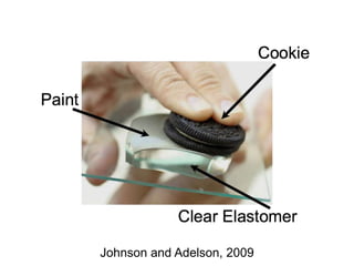 Johnson and Adelson, 2009
 