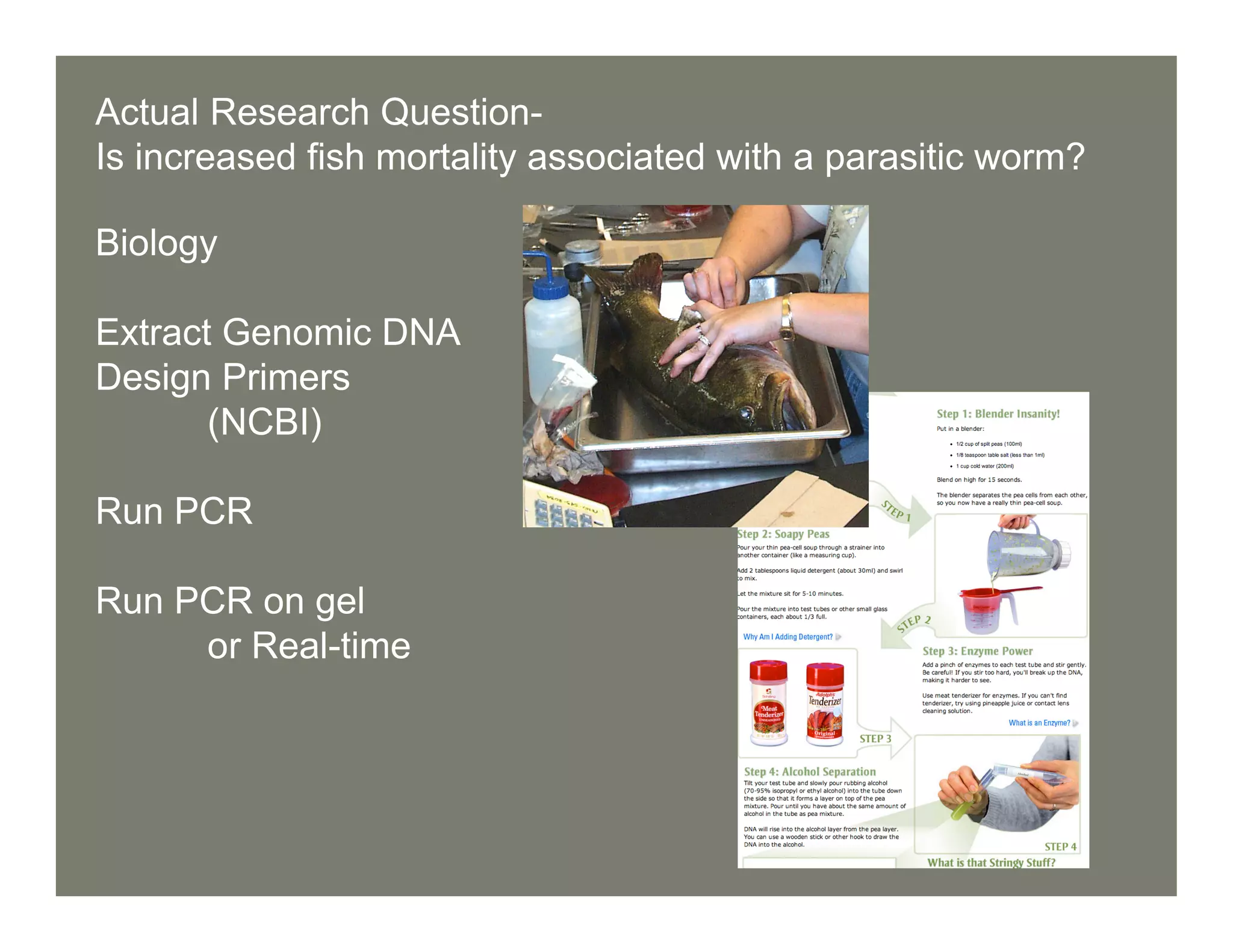 Lec16 Realtime PCR