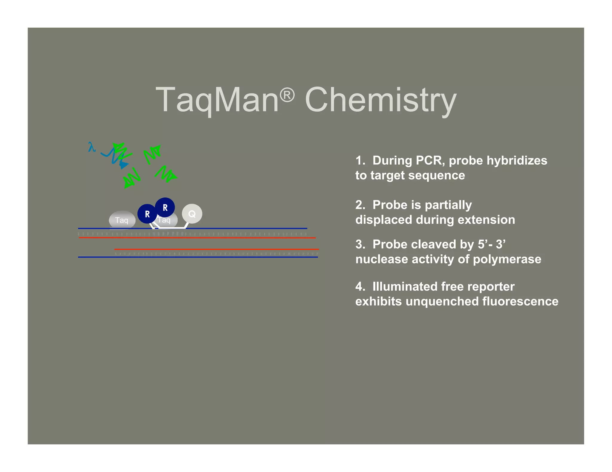 Lec16 Realtime PCR