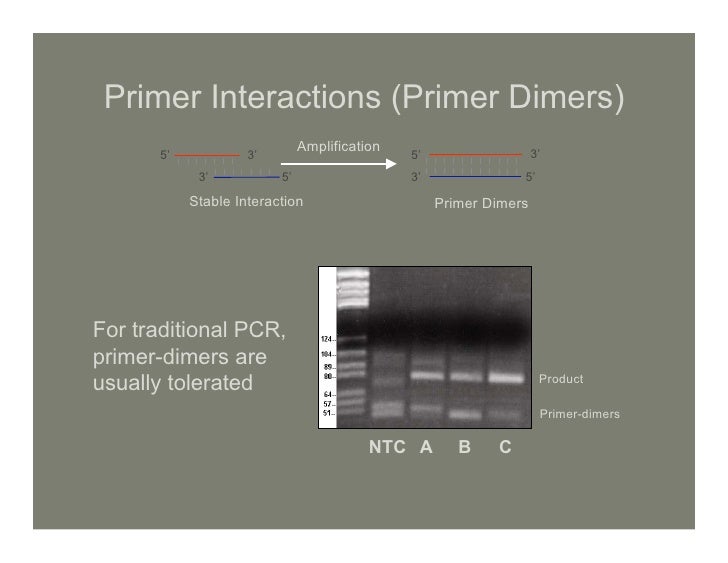 Lec16 Realtime PCR