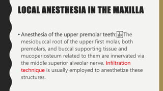 LOCAL ANESTHESIA IN THE MAXILLA
• Anesthesia of the upper premolar teeth: The
mesiobuccal root of the upper first molar, both
premolars, and buccal supporting tissue and
mucoperiosteum related to them are innervated via
the middle superior alveolar nerve. Infiltration
technique is usually employed to anesthetize these
structures.
 