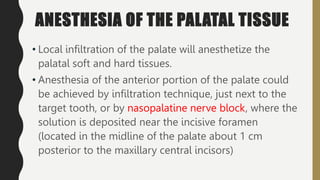 ANESTHESIA OF THE PALATAL TISSUE
• Local infiltration of the palate will anesthetize the
palatal soft and hard tissues.
• Anesthesia of the anterior portion of the palate could
be achieved by infiltration technique, just next to the
target tooth, or by nasopalatine nerve block, where the
solution is deposited near the incisive foramen
(located in the midline of the palate about 1 cm
posterior to the maxillary central incisors)
 