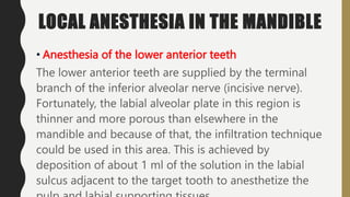 LOCAL ANESTHESIA IN THE MANDIBLE
• Anesthesia of the lower anterior teeth
The lower anterior teeth are supplied by the terminal
branch of the inferior alveolar nerve (incisive nerve).
Fortunately, the labial alveolar plate in this region is
thinner and more porous than elsewhere in the
mandible and because of that, the infiltration technique
could be used in this area. This is achieved by
deposition of about 1 ml of the solution in the labial
sulcus adjacent to the target tooth to anesthetize the
 