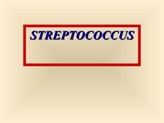 STREPTOCOCCUS

1

 