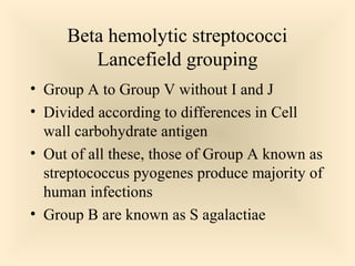 Beta hemolytic streptococci
Lancefield grouping
 Group A to Group V without I and J
 Divided according to differences in Cell wall

carbohydrate antigen
 Out of all these, those of Group A known as
streptococcus pyogenes produce majority of
human infections
 Group B are known as S agalactiae

13

 