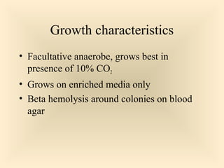 Growth characteristics
 Facultative anaerobe, grows best in presence

of 10% CO2
 Grows on enriched media only
 Beta hemolysis around colonies on blood

agar

20

 