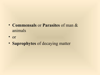  Commensals or Parasites of man & animals
 or
 Saprophytes of decaying matter

3

 