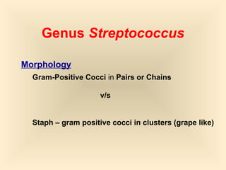 Genus Streptococcus
Gram-Positive Cocci in Pairs or Chains
v/s
Staph – gram positive cocci in clusters (grape like)

4

 