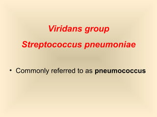 Viridans group
Streptococcus pneumoniae
• Commonly referred to as pneumococcus

58

 