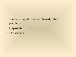  Lancet shaped (one end broad, other

pointed)
 Capsulated
 Diplococci

60

 