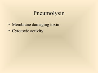 Pneumolysin
 Membrane damaging toxin
 Cytotoxic activity

77

 
