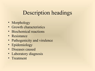Description headings










Morphology
Growth characteristics
Biochemical reactions
Resistance
Pathogenicity and virulence
Epidemiology
Diseases caused
Laboratory diagnosis
Treatment

79

 