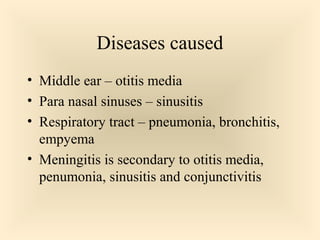 Diseases caused
 Middle ear – otitis media
 Para nasal sinuses – sinusitis
 Respiratory tract – pneumonia, bronchitis,

empyema
 Meningitis is secondary to otitis media,
penumonia, sinusitis and conjunctivitis

82

 