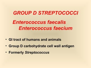GROUP D STREPTOCOCCI
Enterococcus faecalis
Enterococcus faecium
• GI tract of humans and animals
• Group D carbohydrate cell wall antigen
• Formerly Streptococcus
89

 