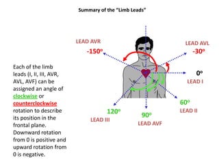 Summary of the “Limb Leads”LEAD AVRLEAD AVL-30o-150oEach of the limb leads (I, II, III, AVR, AVL, AVF) can be assigned an angle of clockwise or counterclockwise rotation to describe its position in the frontal plane.  Downward rotation from 0 is positive and upward rotation from 0 is negative.0oLEAD I60oLEAD II120o90oLEAD IIILEAD AVF