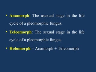 Lec 18 to 22 Ascomycotina fungi.ppt hjsnsjjm | PPT