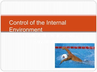 Control of the Internal
Environment
Control of the Internal
Environment
 