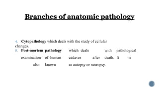 4. Cytopathology which deals with the study of cellular
changes.
5. Post-mortem pathology which deals with pathological
examination of human cadaver after death. It is
also known as autopsy or necropsy.
 