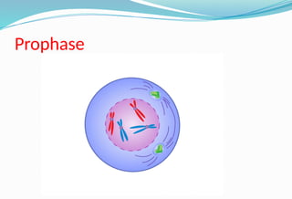 Lec_1_cell_tissue_cell_division [1].pptx