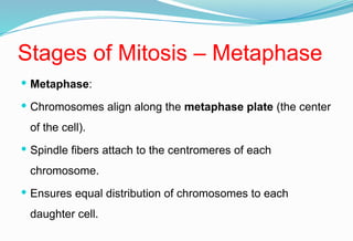 Lec_1_cell_tissue_cell_division [1].pptx