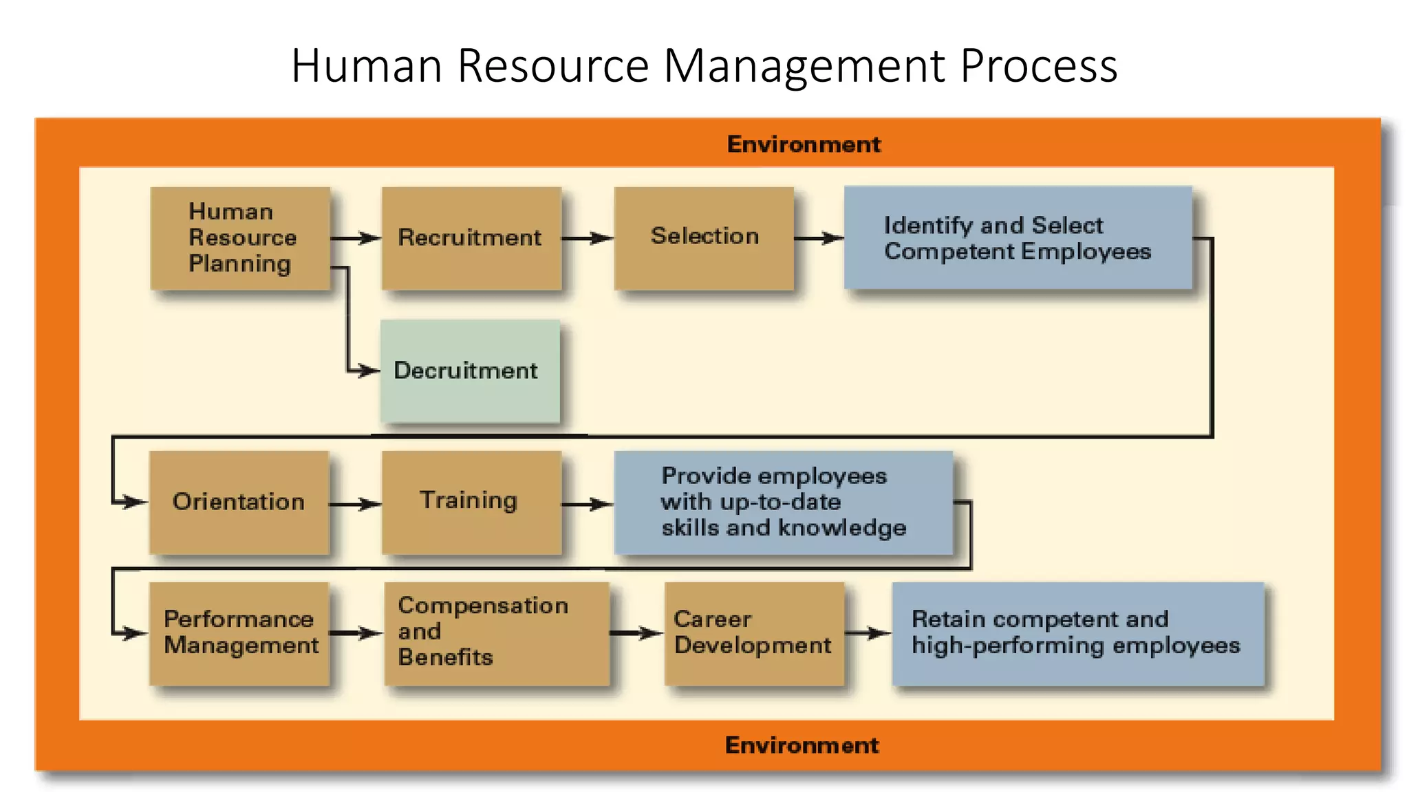 Human Resource Management Process
 