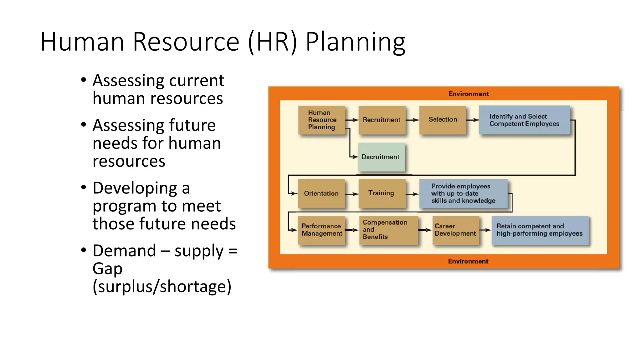 Human Resource (HR) Planning
• Assessing current
human resources
• Assessing future
needs for human
resources
• Developing a
program to meet
those future needs
• Demand – supply =
Gap
(surplus/shortage)
 
