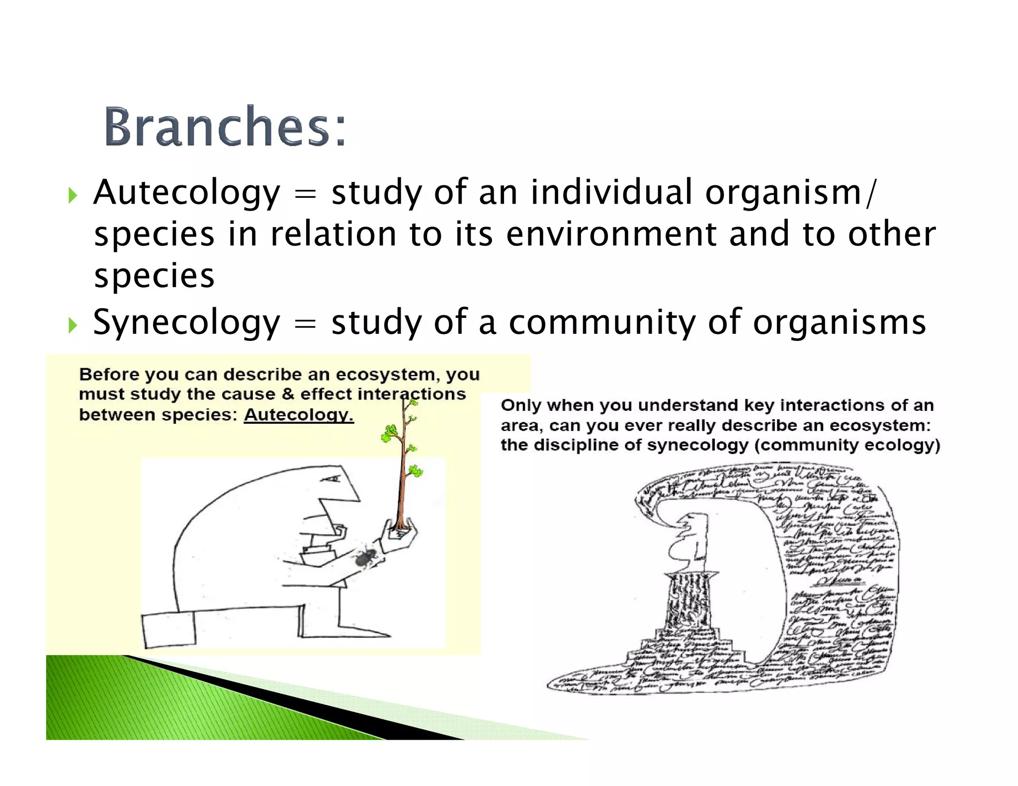 Autecology = study of an individual organism/
species in relation to its environment and to other
species
Synecology = study of a community of organisms
 