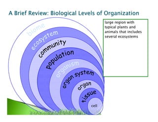 smallest unit of livingsmallest unit of living
thingsthings
group of similar cellsgroup of similar cells
organized to workorganized to work
togethertogether
group of differentgroup of different
kinds of tissueskinds of tissues
working togetherworking together
group of organsgroup of organs
working togetherworking together
one individual livingone individual living
thingthing
all organisms of theall organisms of the
same kind living in onesame kind living in one
areaarea
all interactingall interacting
populations in anpopulations in an
ecosystemecosystem
all living and nonlivingall living and nonliving
things interactingthings interacting
within a certain areawithin a certain area
large region withlarge region with
typical plants andtypical plants and
animals that includesanimals that includes
several ecosystemsseveral ecosystems
A BriefA BriefA BriefA BriefA BriefA BriefA BriefA Brief RRRRRRRRevieweviewevieweviewevieweviewevieweview: Biological: Biological: Biological: Biological: Biological: Biological: Biological: Biological Levels of OrganizationLevels of OrganizationLevels of OrganizationLevels of Organization
cell
 