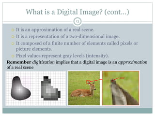 What is a Digital Image? (cont…)
 It is an approximation of a real scene.
 It is a representation of a two-dimensional image.
 It composed of a finite number of elements called pixels or
picture elements.
 Pixel values represent gray levels (intensity).
Remember digitization implies that a digital image is an approximation
of a real scene
1 pixel
13
 