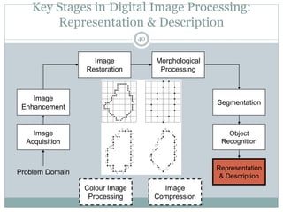 Key Stages in Digital Image Processing:
Representation & Description
Image
Acquisition
Image
Restoration
Morphological
Processing
Segmentation
Representation
& Description
Image
Enhancement
Object
Recognition
Problem Domain
Colour Image
Processing
Image
Compression
40
 