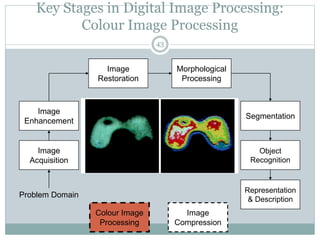 Key Stages in Digital Image Processing:
Colour Image Processing
Image
Acquisition
Image
Restoration
Morphological
Processing
Segmentation
Representation
& Description
Image
Enhancement
Object
Recognition
Problem Domain
Colour Image
Processing
Image
Compression
43
 