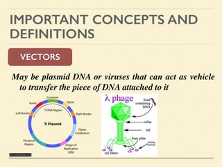 IMPORTANT CONCEPTS AND
DEFINITIONS
VECTORS
May be plasmid DNA or viruses that can act as vehicle
to transfer the piece of DNA attached to it 	

!
en.wikipedia.org
 