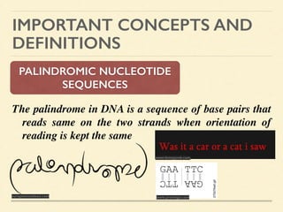 IMPORTANT CONCEPTS AND
DEFINITIONS
PALINDROMIC NUCLEOTIDE
SEQUENCES
The palindrome in DNA is a sequence of base pairs that
reads same on the two strands when orientation of
reading is kept the same 	

	

	

europeisnotdead.com
www.funnyjunk.com
www.promega.com
 