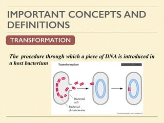 IMPORTANT CONCEPTS AND
DEFINITIONS
TRANSFORMATION
The 	

procedure through which a piece of DNA is introduced in
a host bacterium 	

!
www.boundless.com
 