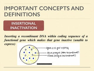 IMPORTANT CONCEPTS AND
DEFINITIONS
INSERTIONAL
INACTIVATION
Inserting a recombinant DNA within coding sequence of a
functional gene which makes that gene inactive (unable to
express) 	

!
!
www.discoverbiotech.com
 
