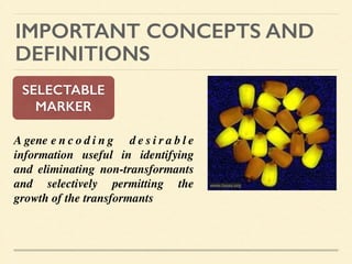 IMPORTANT CONCEPTS AND
DEFINITIONS
SELECTABLE
MARKER
A gene 	

e n c o d i n g d e s i r a b l e
information useful in identifying
and eliminating non-transformants
and selectively permitting the
growth of the transformants 	

!
!
!
www.isaaa.org
 