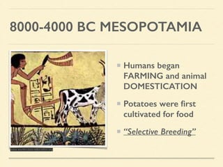 8000-4000 BC MESOPOTAMIA
Humans began
FARMING and animal
DOMESTICATION
Potatoes were ﬁrst
cultivated for food
“Selective Breeding”
www.world-class-education.org
 