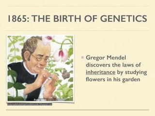 1865: THE BIRTH OF GENETICS
Gregor Mendel
discovers the laws of
inheritance by studying
ﬂowers in his garden
historiadenuestroperuydelmundo.blogspot.com
 