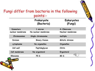 Fungi differ from bacteria in the following
points:-
Prokaryote
(Bacteria)
Eukaryotes
(Fungi)
Diameters 1 micron 4-15microns
nuclear membrane No nuclear membrane Nuclear membrane
Chromosomes Single chromosome multiple
Division Binary fission Mitotic division
cytoplasme No organelles Organelles
Cell wall Peptidoglycan Chitin
Cell membrane No ergosterol Ergosterol
Ribosome 70 S 80 S
 