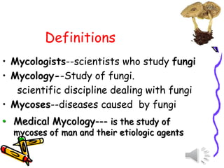 Definitions
• Mycologists--scientists who study fungi
• Mycology--Study of fungi.
scientific discipline dealing with fungi
• Mycoses--diseases caused by fungi
• Medical Mycology--- is the study of
mycoses of man and their etiologic agents
 