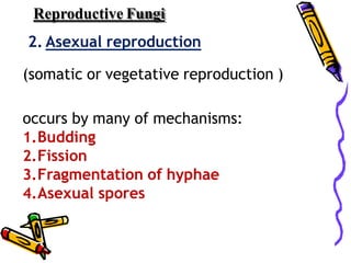 Reproductive Fungi
2. Asexual reproduction
(somatic or vegetative reproduction )
occurs by many of mechanisms:
1.Budding
2.Fission
3.Fragmentation of hyphae
4.Asexual spores
 