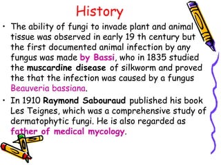 History
• The ability of fungi to invade plant and animal
tissue was observed in early 19 th century but
the first documented animal infection by any
fungus was made by Bassi, who in 1835 studied
the muscardine disease of silkworm and proved
the that the infection was caused by a fungus
Beauveria bassiana.
• In 1910 Raymond Sabouraud published his book
Les Teignes, which was a comprehensive study of
dermatophytic fungi. He is also regarded as
father of medical mycology.
 