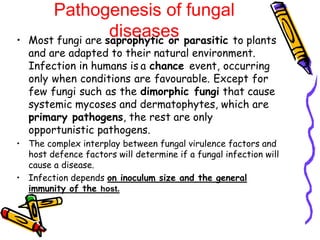 Pathogenesis of fungal
diseases
• Most fungi are saprophytic or parasitic to plants
and are adapted to their natural environment.
Infection in humans is a chance event, occurring
only when conditions are favourable. Except for
few fungi such as the dimorphic fungi that cause
systemic mycoses and dermatophytes, which are
primary pathogens, the rest are only
opportunistic pathogens.
• The complex interplay between fungal virulence factors and
host defence factors will determine if a fungal infection will
cause a disease.
• Infection depends on inoculum size and the general
immunity of the host.
 