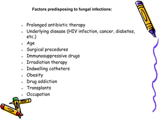 Factors predisposing to fungal infections:
• Prolonged antibiotic therapy
• Underlying disease (HIV infection, cancer, diabetes,
etc.)
• Age
• Surgical procedures
• Immunosuppressive drugs
• Irradiation therapy
• Indwelling catheters
• Obesity
• Drug addiction
• Transplants
• Occupation
 