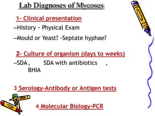 Lab Diagnoses of Mycoses
1- Clinical presentation
–History - Physical Exam
–Mould or Yeast? -Septate hyphae?
2- Culture of organism (days to weeks)
–SDA , SDA with antibiotics ,
BHIA
3 Serology-Antibody or Antigen tests
4 Molecular Biology-PCR
 