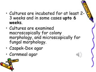 • Cultures are incubated for at least 2-
3 weeks and in some cases upto 6
weeks.
• Cultures are examined
macroscopically for colony
morphology, and microscopically for
fungal morphology.
• Czapek-Dox agar
• Cornmeal agar
 