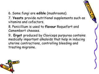6. Some fungi are edible (mushrooms).
7. Yeasts provide nutritional supplements such as
vitamins and cofactors.
8. Penicillium is used to flavour Roquefort and
Camembert cheeses.
9. Ergot produced by Claviceps purpurea contains
medically important alkaloids that help in inducing
uterine contractions, controlling bleeding and
treating migraine.
 