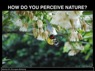 HOW DO YOU PERCEIVE NATURE?
hdw.eweb4.com
Marilen M. Parungao-Balolong
 