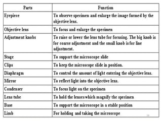 Small Structures Science lec 1 Part of Microscop.pdf Microscopy The science of investigating ...