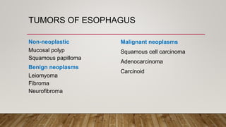 salivary gland and esophagus | PPTX